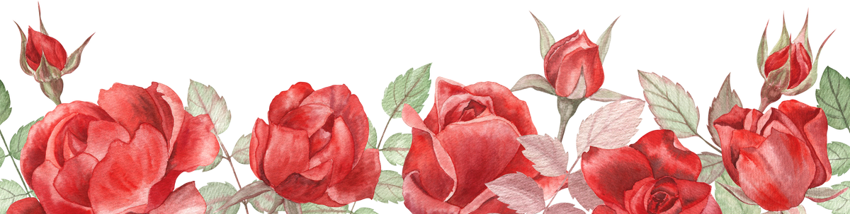Red Roses Watercolor Seamless Border
