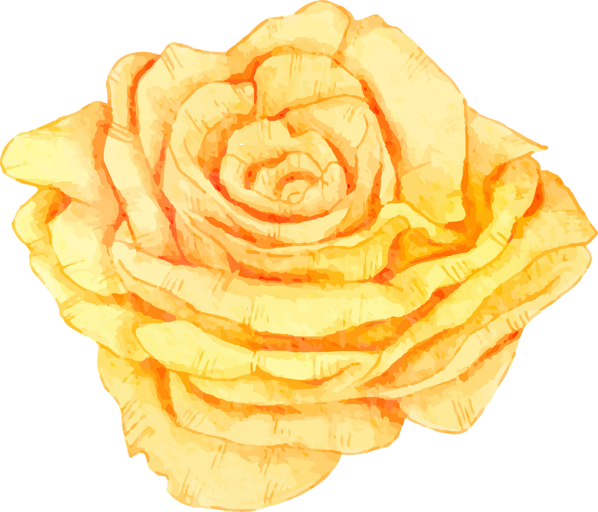 Yellow Rose Flower in Water Color for Decorative Element